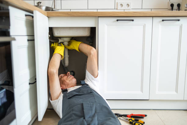 Best Clogged Drain Plumber  in Brookfield, MO